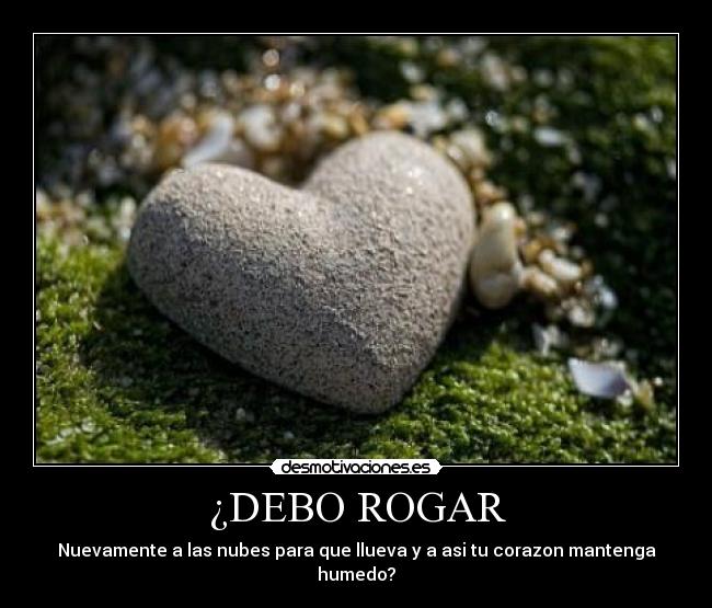 ¿DEBO ROGAR - 