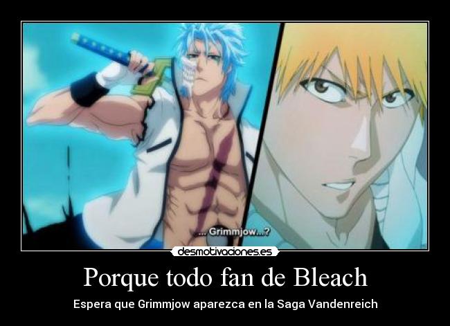 Porque todo fan de Bleach - 