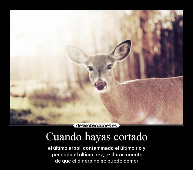 Cuando hayas cortado - 