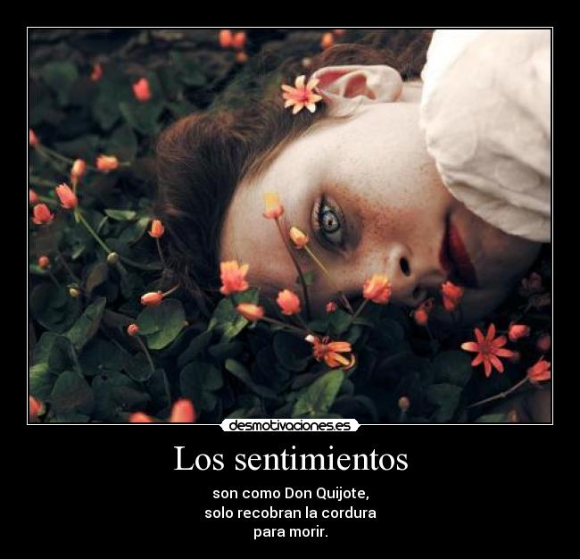 Los sentimientos - son como Don Quijote,
solo recobran la cordura
para morir.