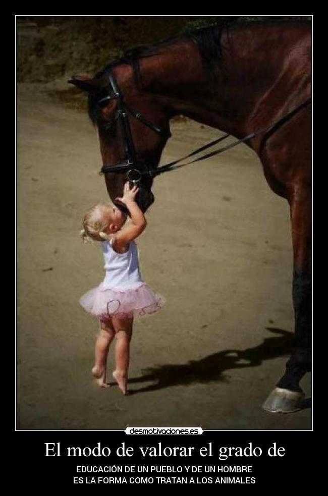 El modo de valorar el grado de - EDUCACIÓN DE UN PUEBLO Y DE UN HOMBRE
ES LA FORMA COMO TRATAN A LOS ANIMALES