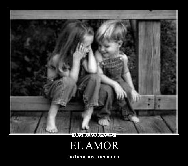 EL AMOR - no tiene instrucciones.