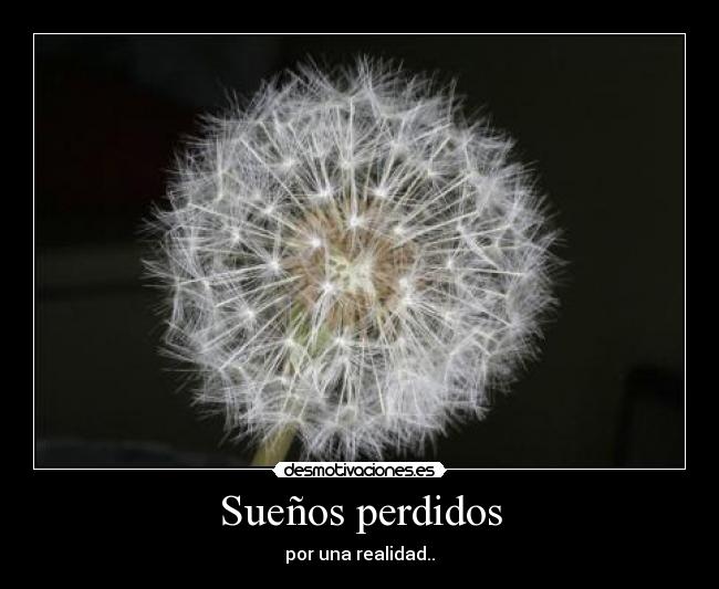 Sueños perdidos - por una realidad..