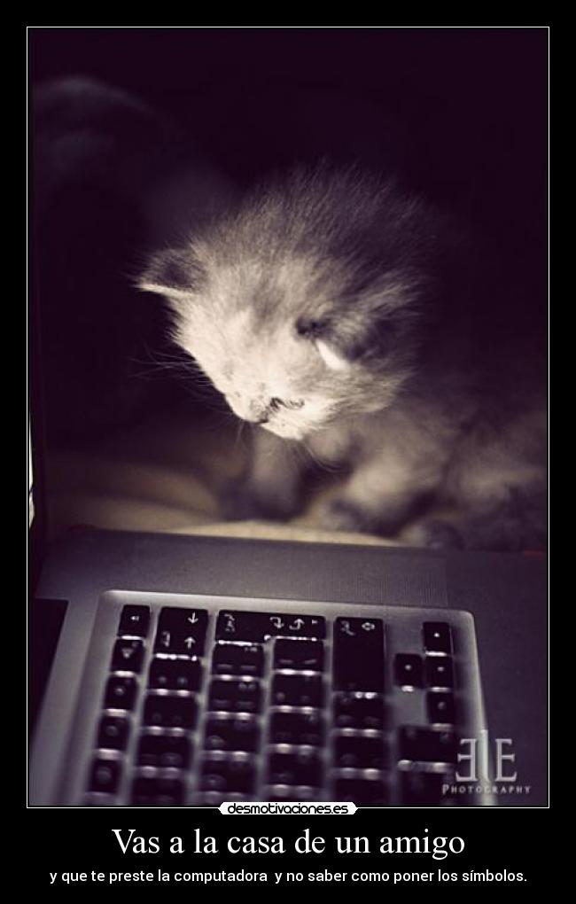 Vas a la casa de un amigo - 