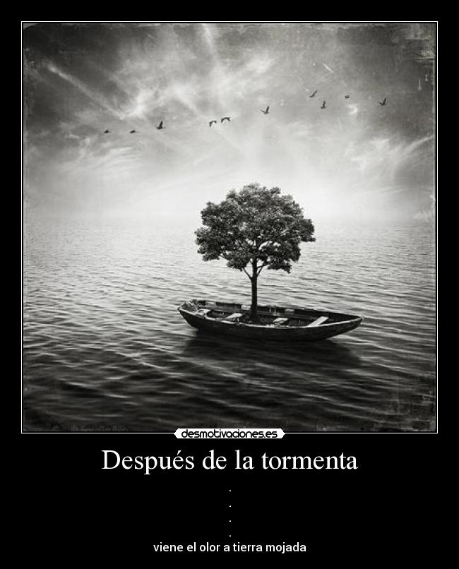 Después de la tormenta - .
.
.
.
viene el olor a tierra mojada