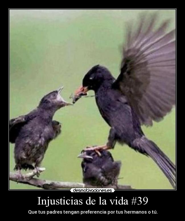 Injusticias de la vida #39 -