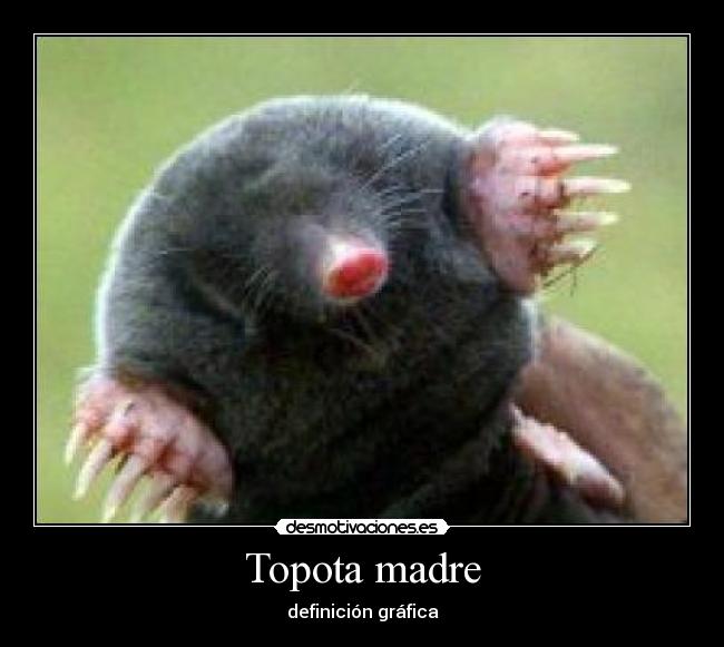 carteles madre topota madre topo puta madre animales eso desmotivaciones