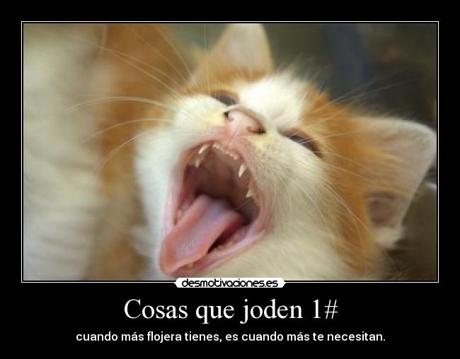 Cosas que joden 1# - cuando más flojera tienes, es cuando más te necesitan.