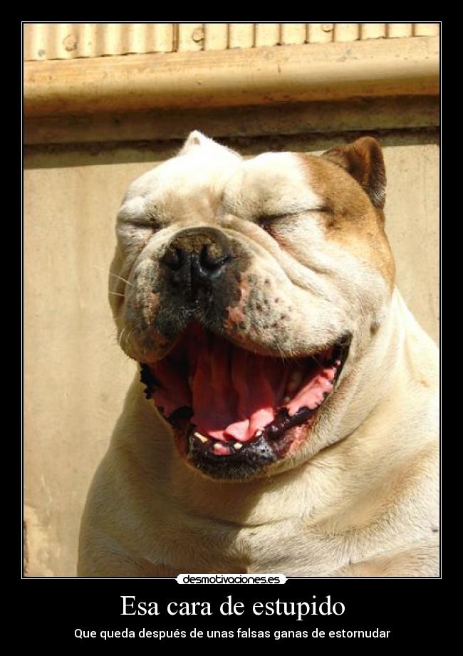 Esa cara de estupido - Que queda después de unas falsas ganas de estornudar