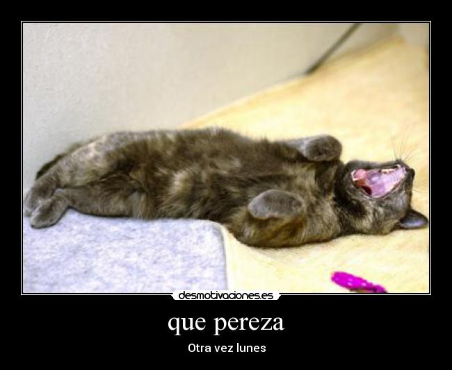 que pereza - 