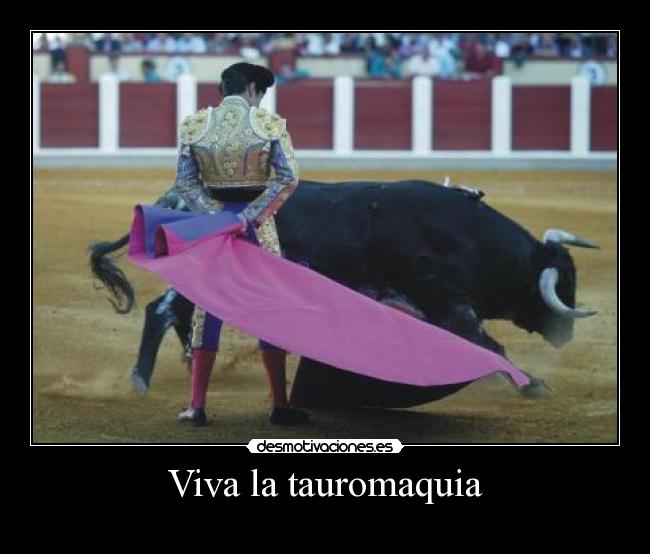 Viva la tauromaquia -