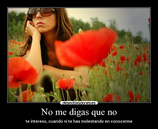 carteles ali sherlym desmotivaciones