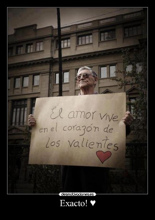 Exacto! ♥ - 