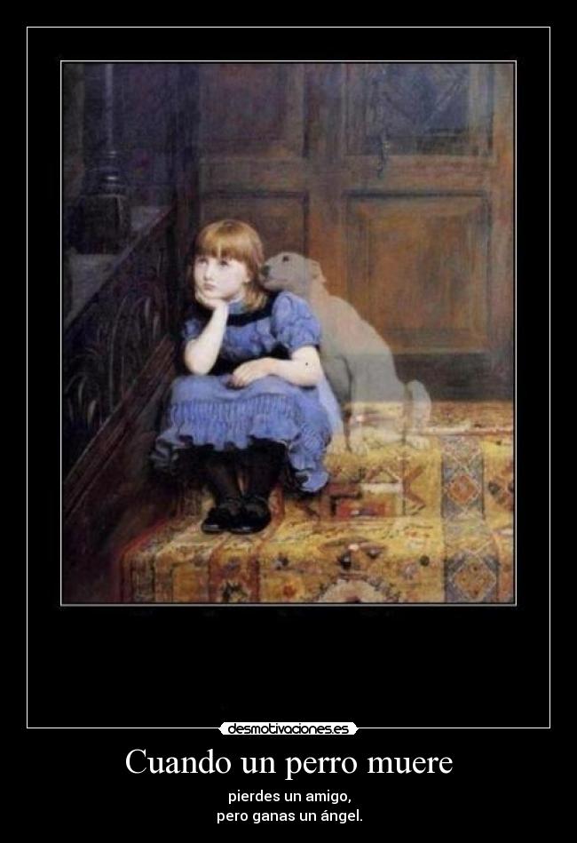 Cuando un perro muere - pierdes un amigo,
pero ganas un ángel.