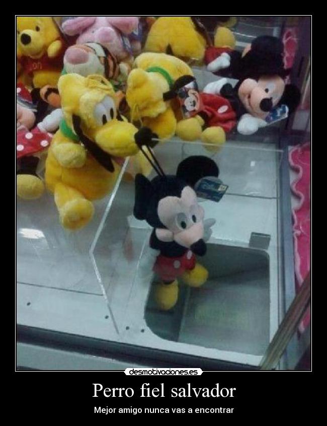 Perro fiel salvador - Mejor amigo nunca vas a encontrar