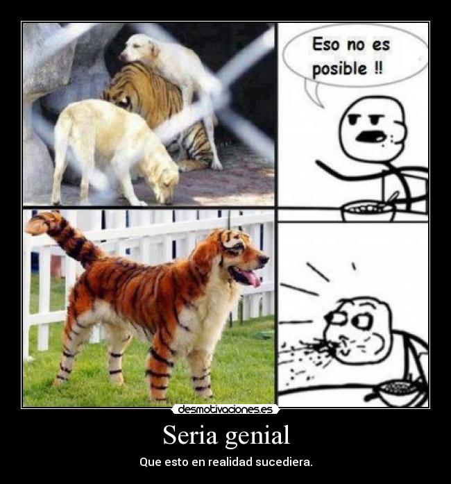 Seria genial - Que esto en realidad sucediera.