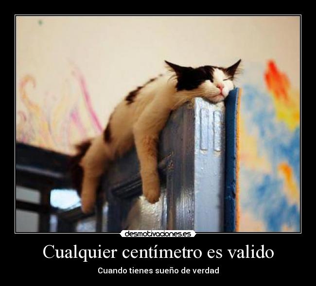 Cualquier centímetro es valido - Cuando tienes sueño de verdad