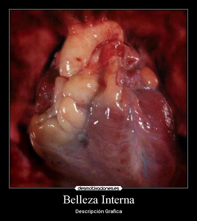 Belleza Interna -