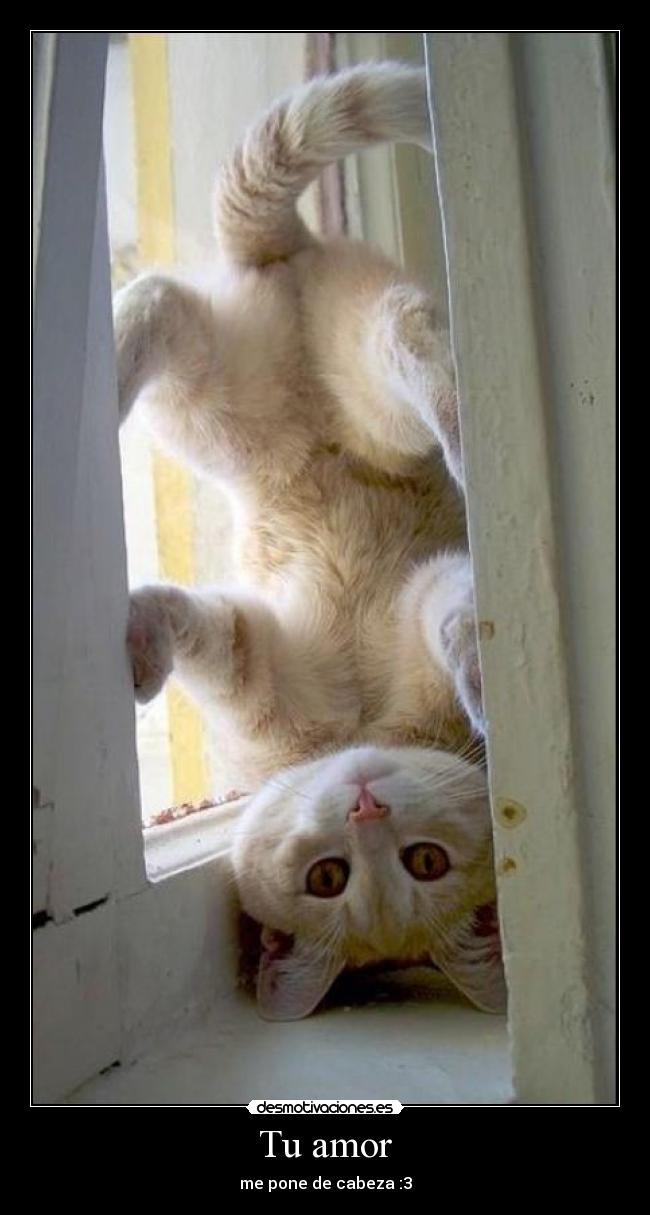 Tu amor - me pone de cabeza :3