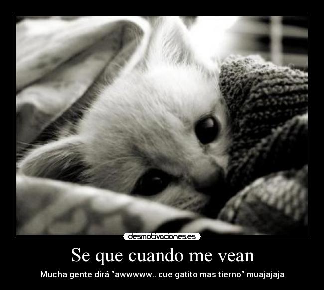 Se que cuando me vean -