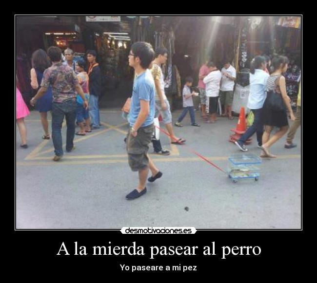 A la mierda pasear al perro - 
