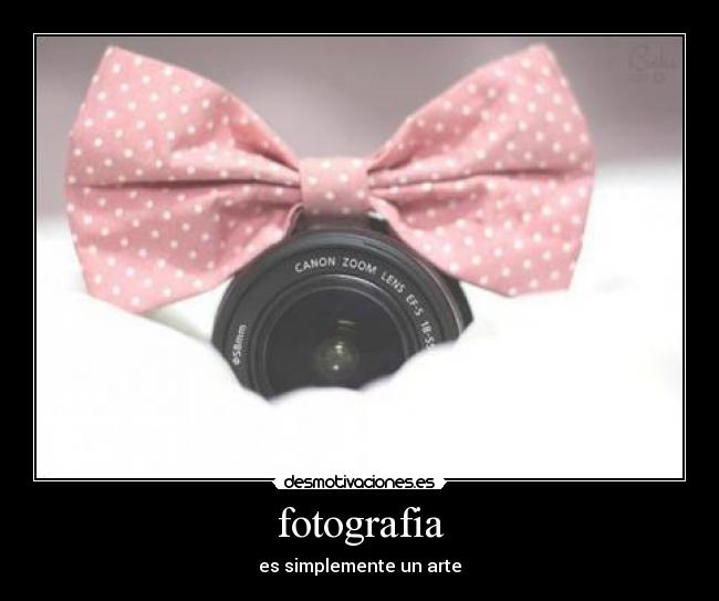 carteles laura desmotivaciones