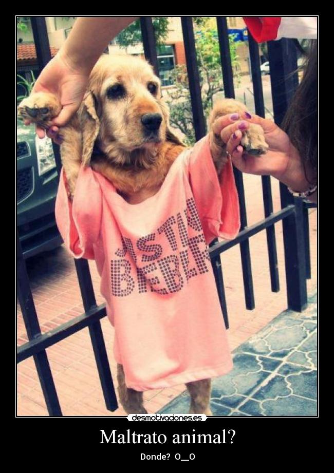 Maltrato animal? - Donde? O__O
