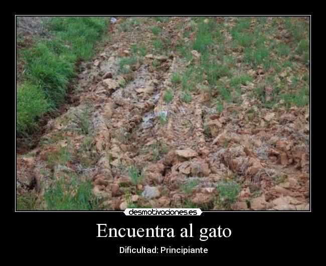 carteles daaisuke desmotivaciones