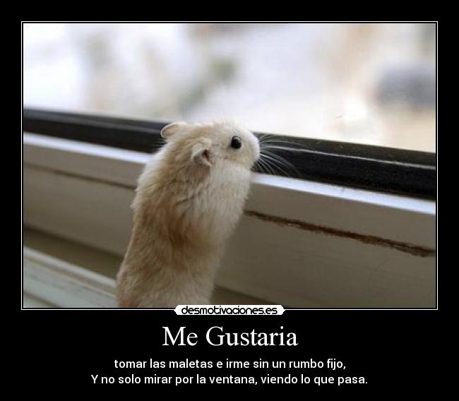 Me Gustaria - tomar las maletas e irme sin un rumbo fijo,
Y no solo mirar por la ventana, viendo lo que pasa.