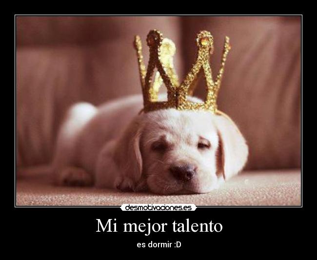 carteles dnlw desmotivaciones