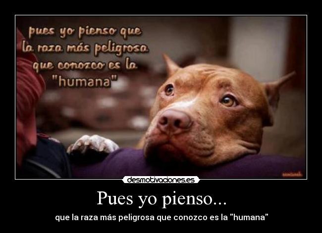 Pues yo pienso... - que la raza más peligrosa que conozco es la humana
