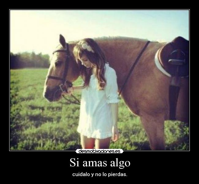 carteles amar cuidar desmotivaciones