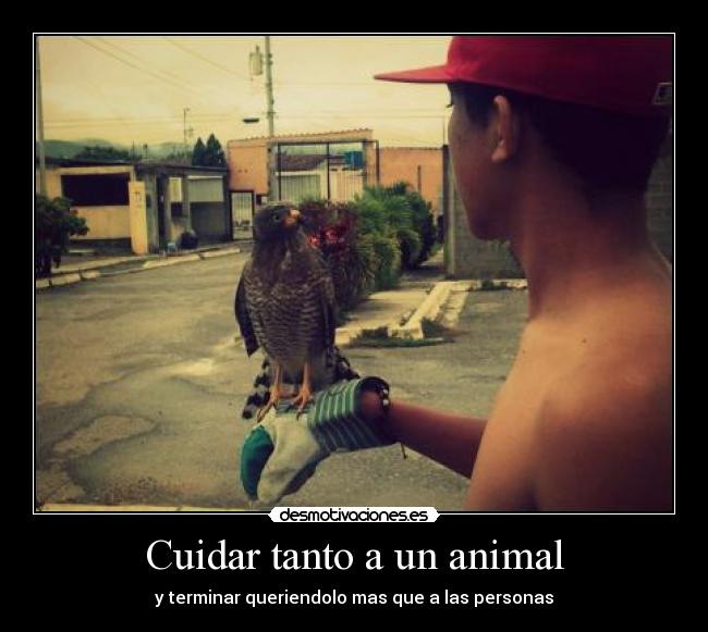 Cuidar tanto a un animal - y terminar queriendolo mas que a las personas