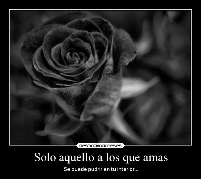 carteles merciii desmotivaciones