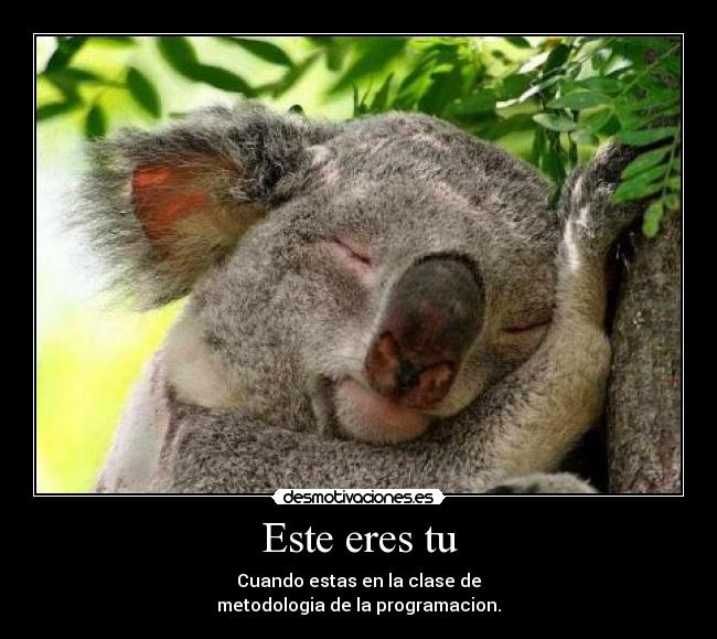 Este eres tu - Cuando estas en la clase de
metodologia de la programacion.