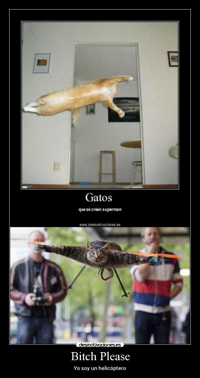 Bitch Please - Yo soy un helicóptero