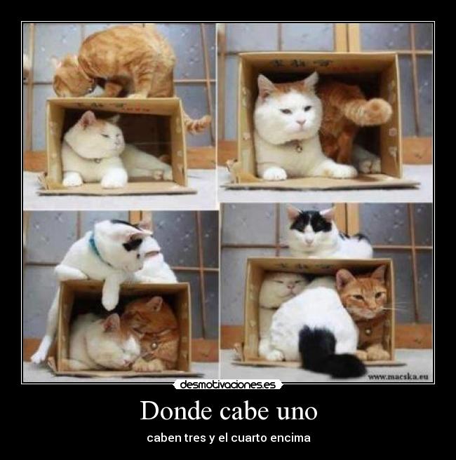 Donde cabe uno - caben tres y el cuarto encima