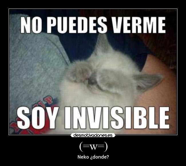 (=w=) - Neko ¿donde?