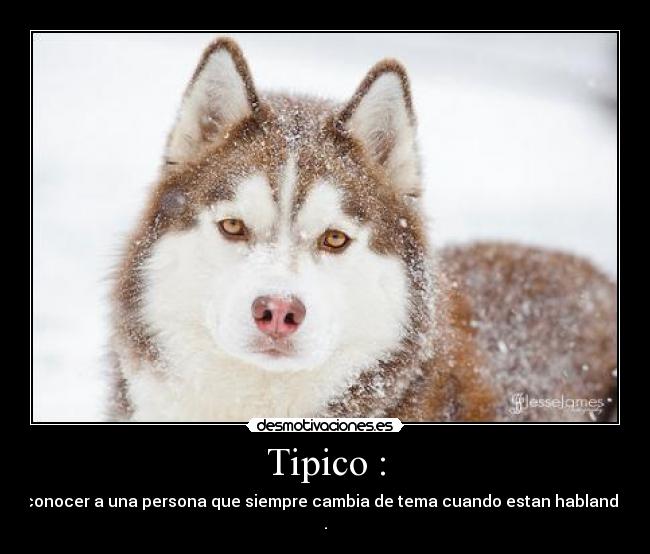 Tipico : -