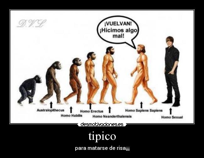 tipico -