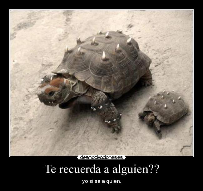 Te recuerda a alguien?? - yo si se a quien.