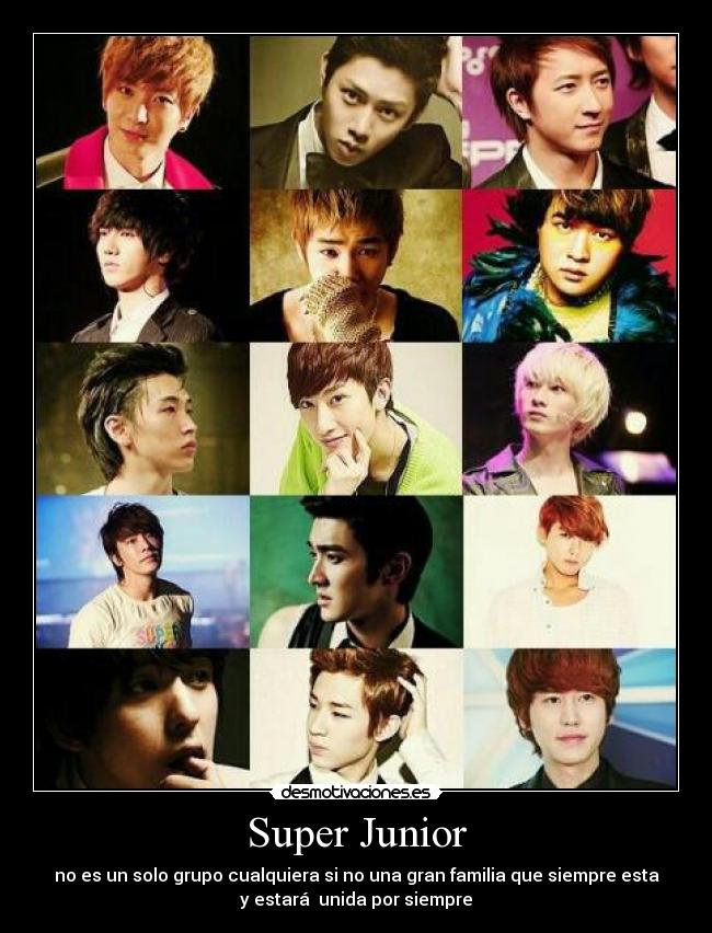 carteles super junior desmotivaciones