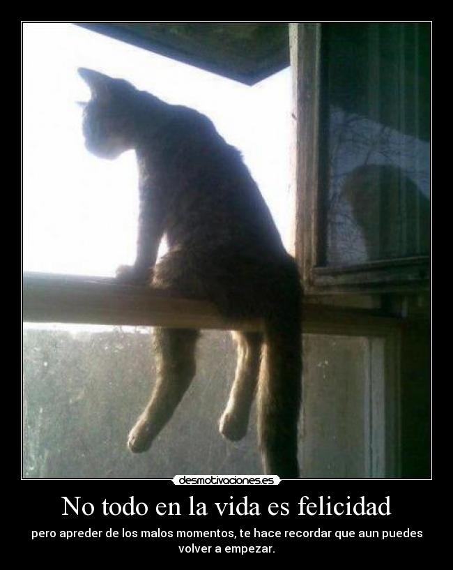 carteles vida felicidad que superacion absoluta ante todo amen desmotivaciones