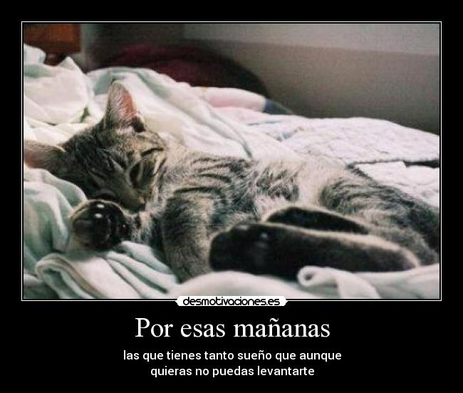 Por esas mañanas - las que tienes tanto sueño que aunque
quieras no puedas levantarte