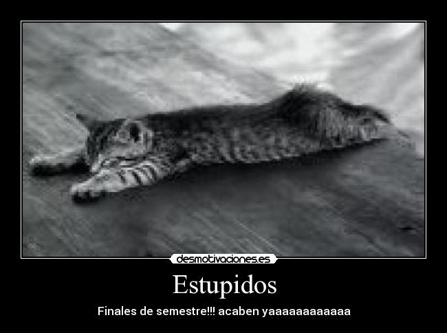 Estupidos - 