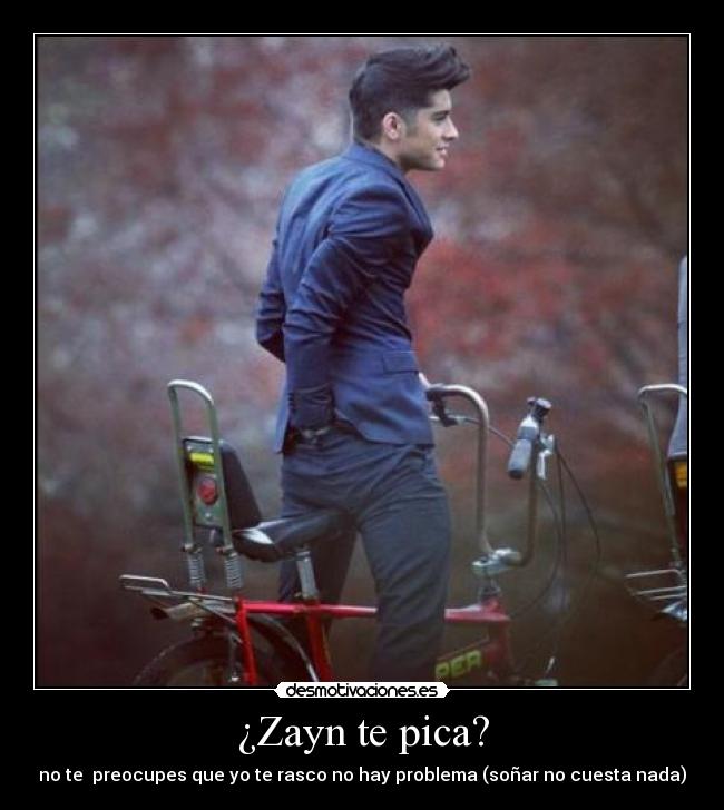 ¿Zayn te pica? - no te  preocupes que yo te rasco no hay problema (soñar no cuesta nada)