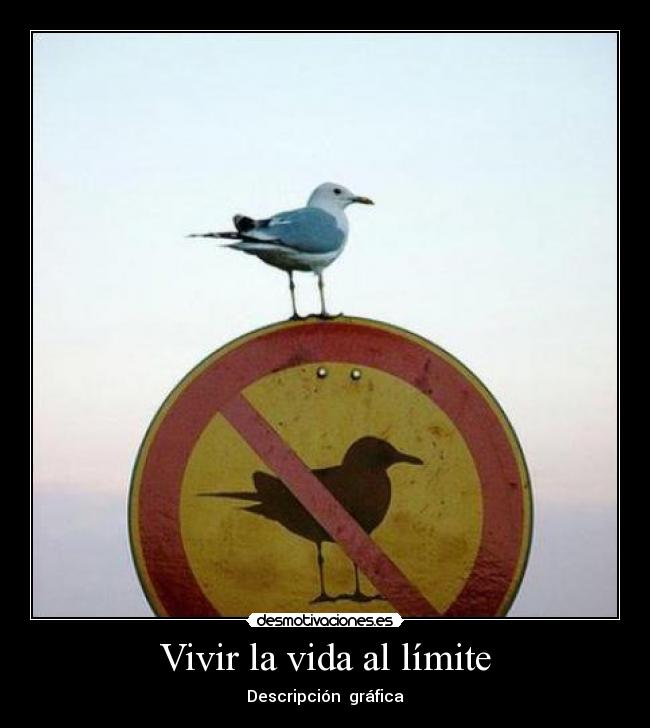 Vivir la vida al límite - Descripción  gráfica