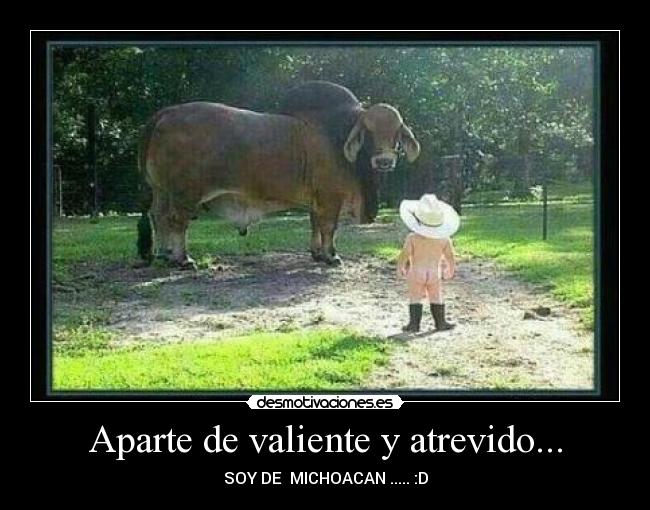 Aparte de valiente y atrevido... - SOY DE MICHOACAN ..... :D
