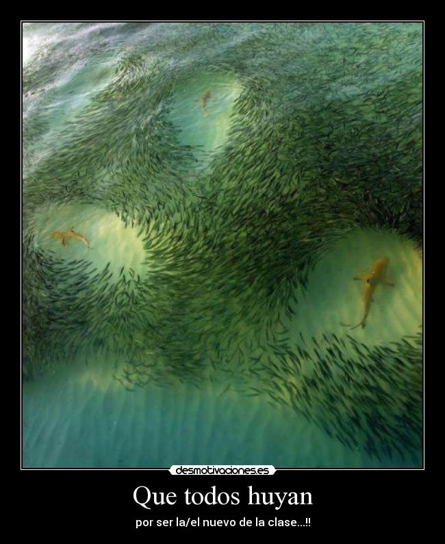 Que todos huyan - por ser la/el nuevo de la clase...!!