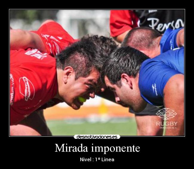 Mirada imponente - Nivel : 1º Linea